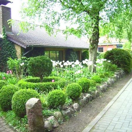Ferienwohnung Diena - Unterkunft Mit Toller Ausstattung Und Zwei Terrassen 타프 외부 사진