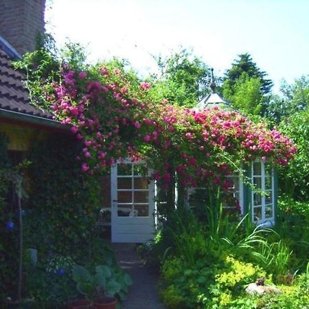 Ferienwohnung Diena - Unterkunft Mit Toller Ausstattung Und Zwei Terrassen 타프 외부 사진