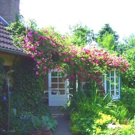 Ferienwohnung Diena - Unterkunft Mit Toller Ausstattung Und Zwei Terrassen 타프 외부 사진